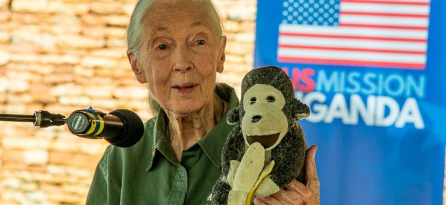 Η πανέμορφη Jane Goodall